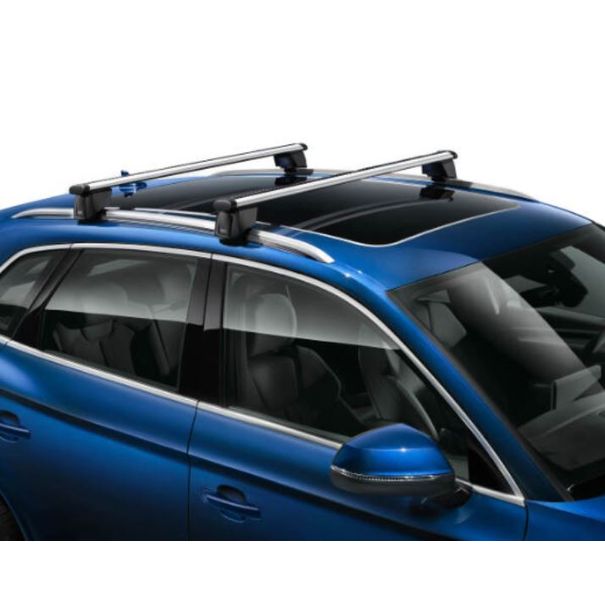 Dakdragers, Audi e-tron Sportback met dakreling