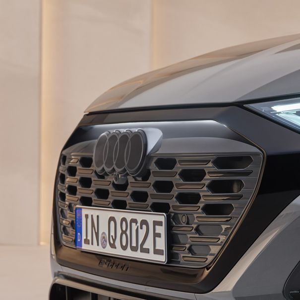 Audi ringen zwart pakket Q8 e-tron sportback